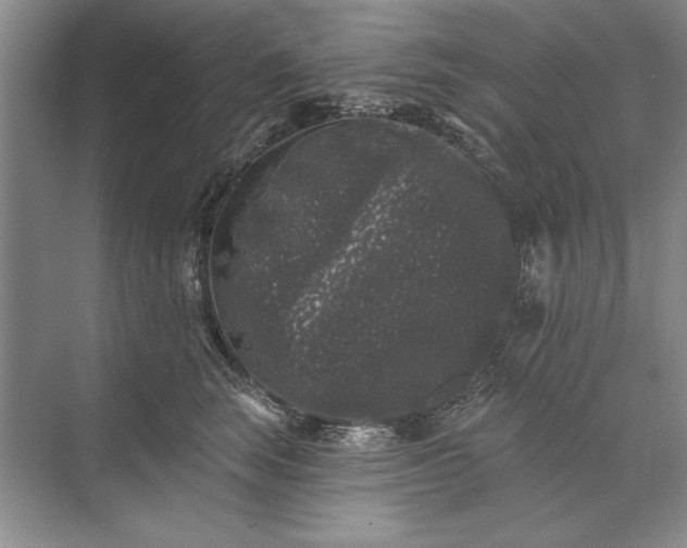 X0000071360663200607071751