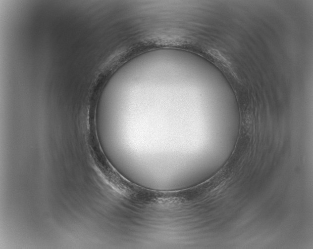 X0000071360686200607071750