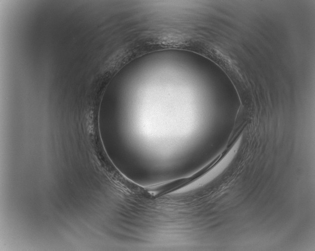 X0000071360689200607071750