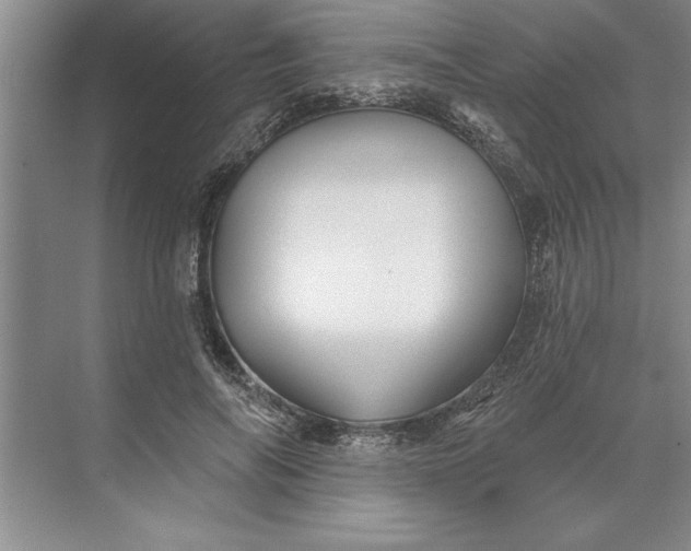 X0000071360694200607071750