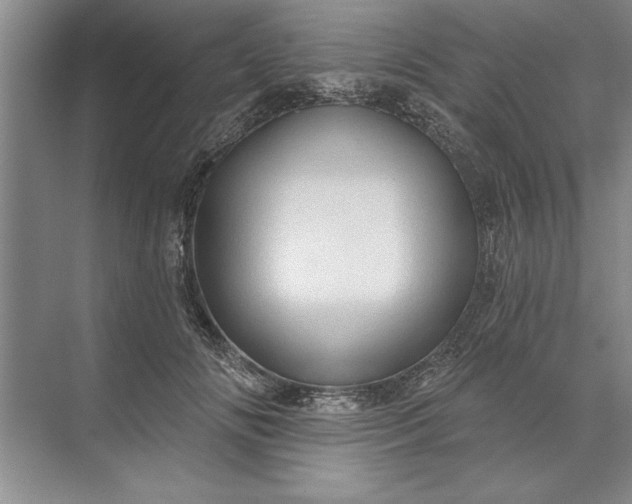 X0000071360702200607071750
