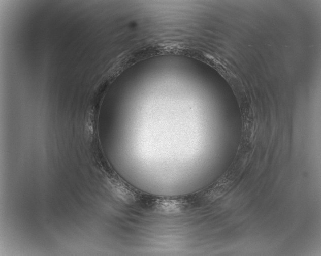 X0000071360710200607071750