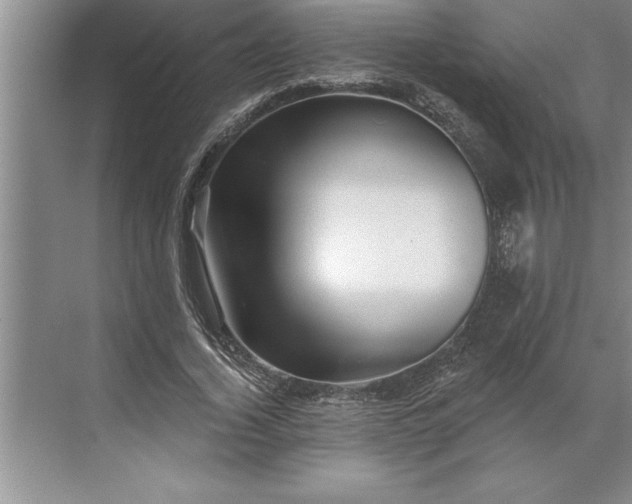 X0000071360732200607071749