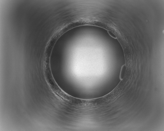 X0000071360736200607071749