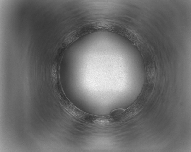X0000071360749200607071749