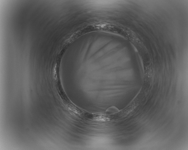 X0000071360754200607071749