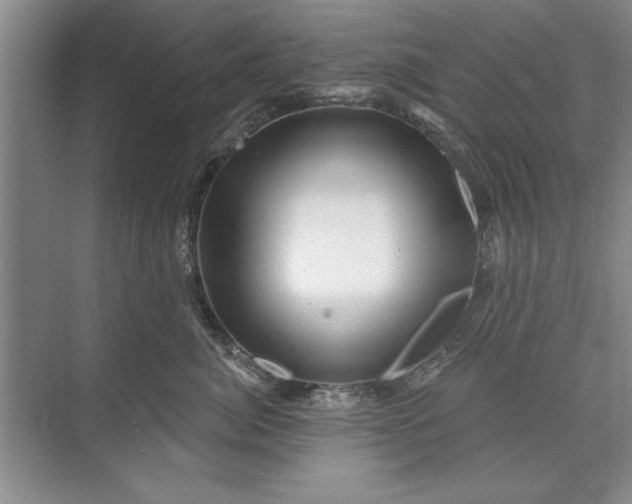 X0000071360764200607071750