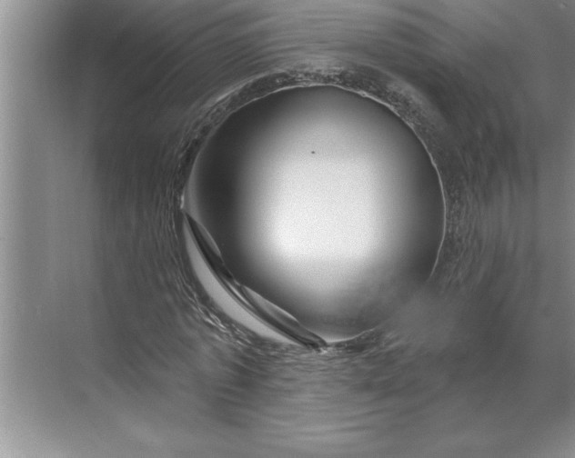 X0000071360773200607071749