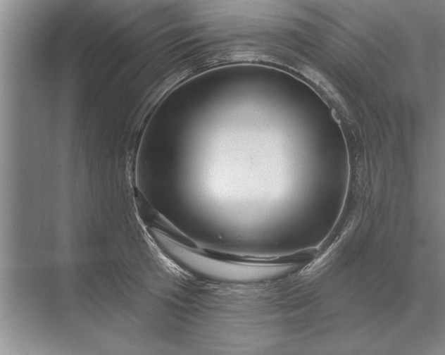 X0000071360801200607071748