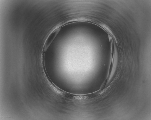 X0000071360805200607071748