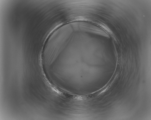 X0000071360806200607071748