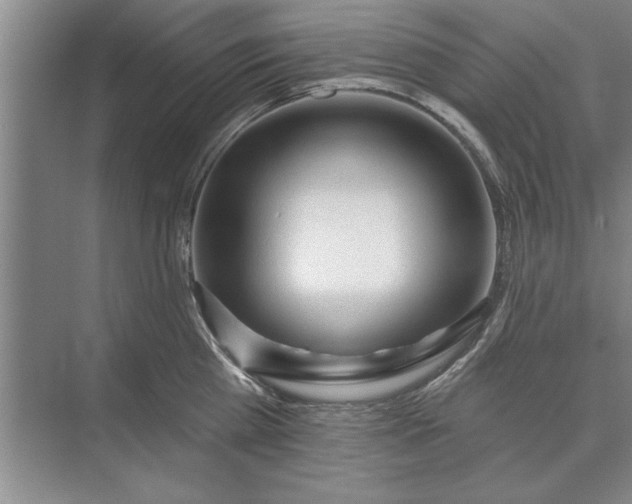 X0000071360809200607071748