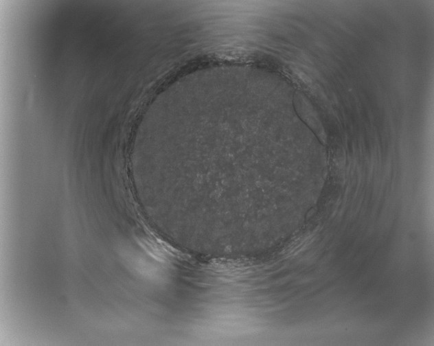 X0000071360817200607071747