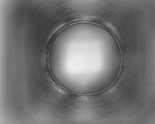 X0000071360827200607071747