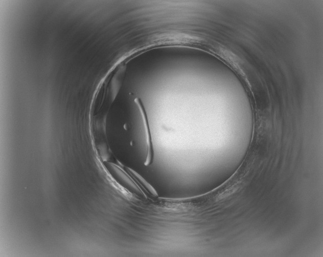 X0000071360843200607071748