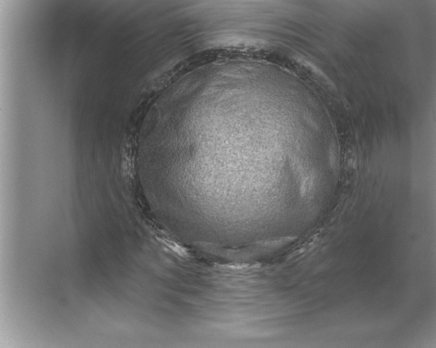X0000071360869200607071747
