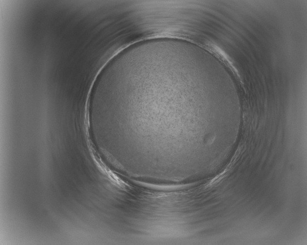 X0000071360892200607071747