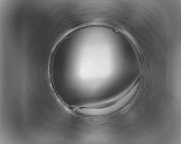 X0000071360910200607071746