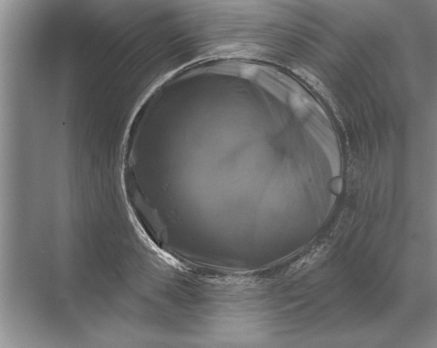 X0000071360941200607071746