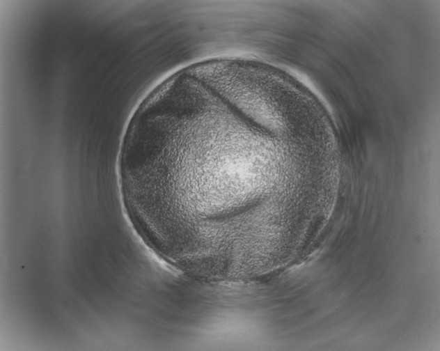 X0000071360959200607071746