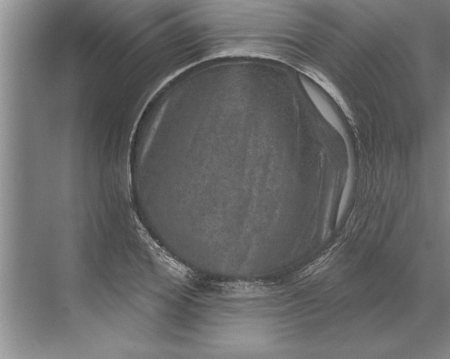 X0000071360980200607071745