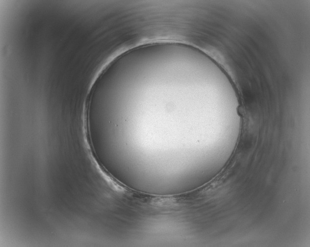 X0000071361006200607071745