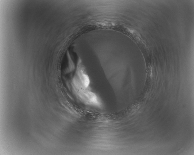 X0000071361009200607071744