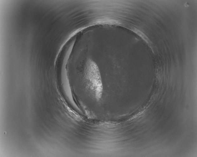 X0000071361022200607071744