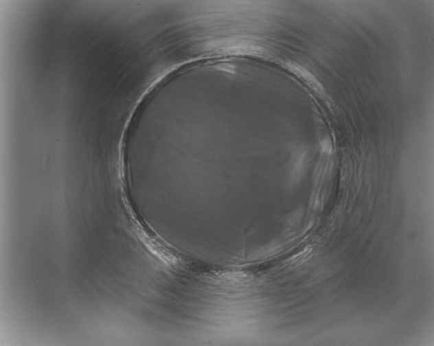 X0000071361031200607071744