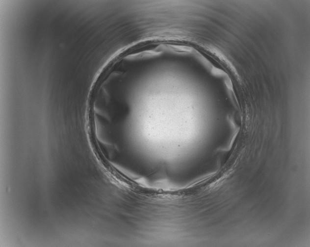 X0000071361085200607071744
