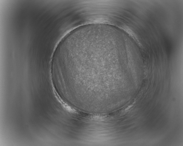 X0000071361086200607071744