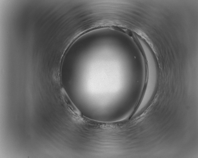 X0000071361089200607071743