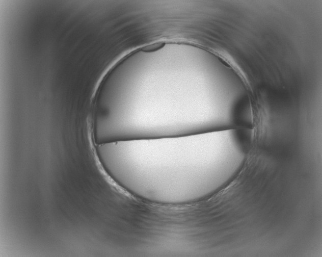 X0000071361100200607071743