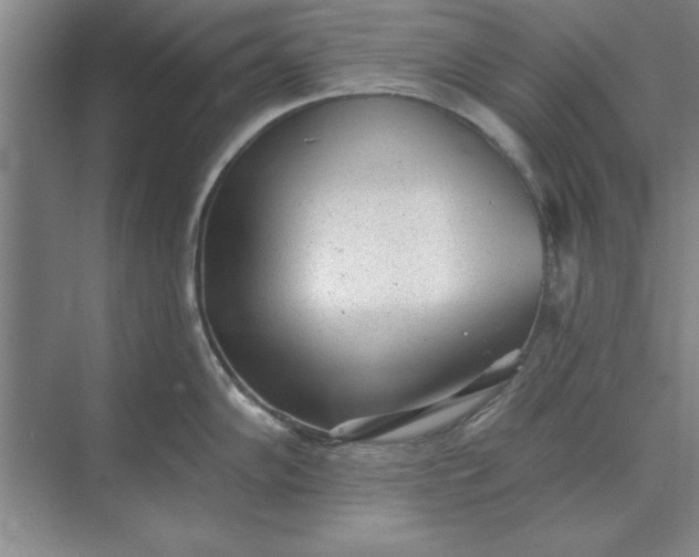 X0000071361102200607071743