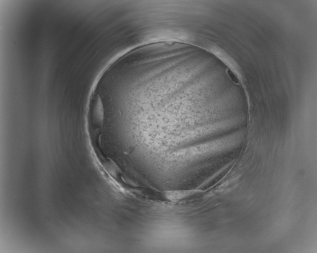 X0000071361104200607071743