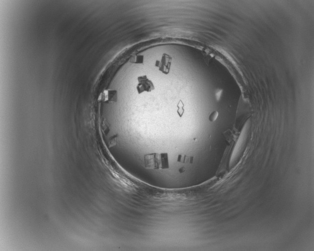 X0000071361115200607071743