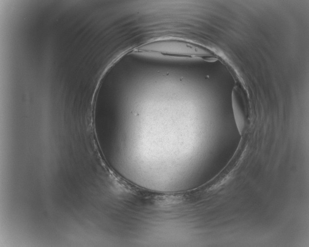 X0000071361145200607071743