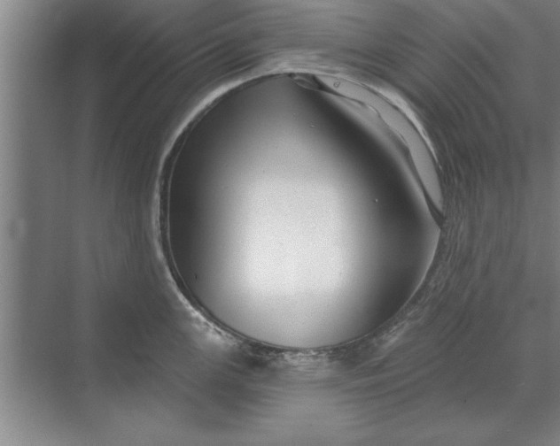 X0000071361147200607071743