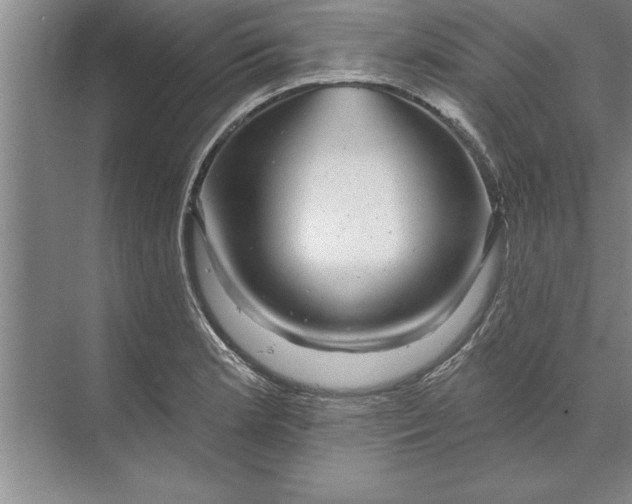 X0000071361181200607071742