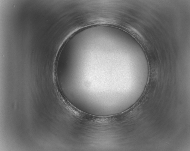 X0000071361182200607071742