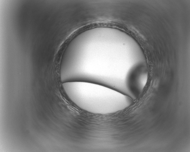 X0000071361208200607071741