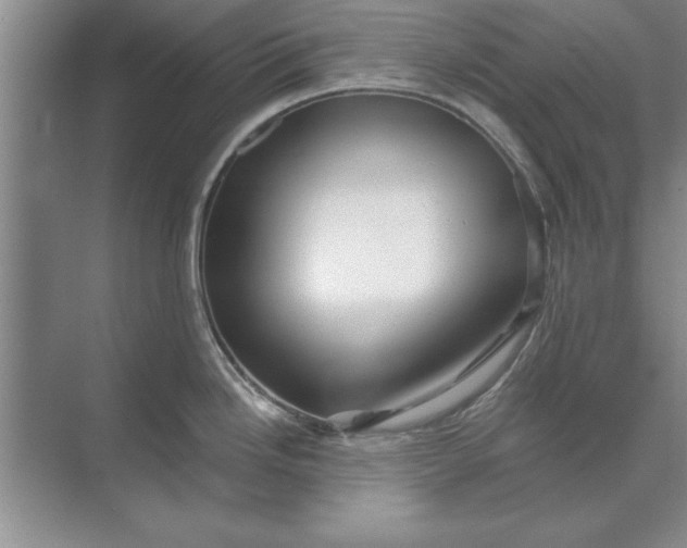 X0000071361246200607071742