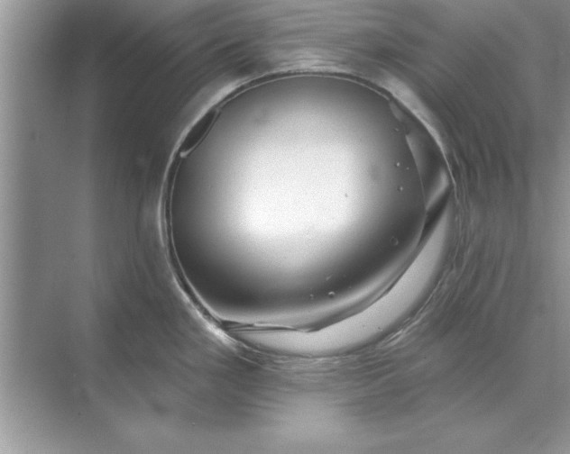 X0000071361293200607071740