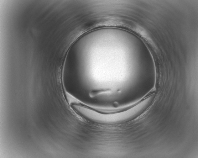 X0000071361329200607071740