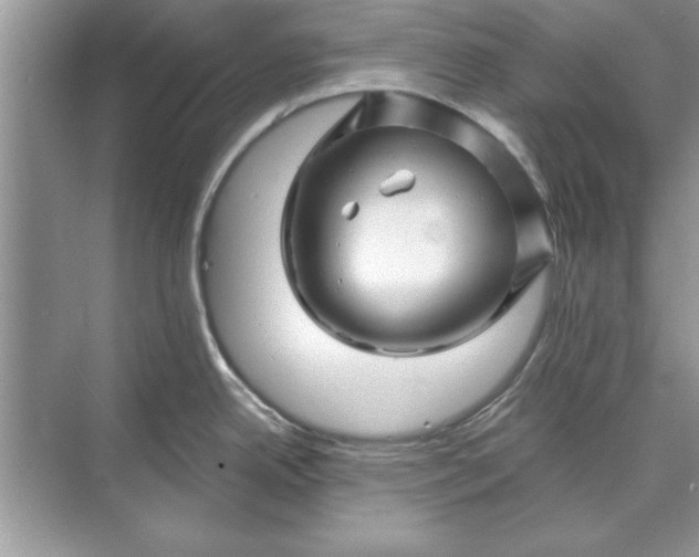 X0000071361342200607071740