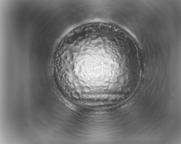 X0000071361367200607071739