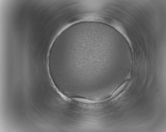 X0000071361437200607071738