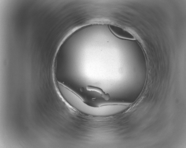 X0000071361440200607071738