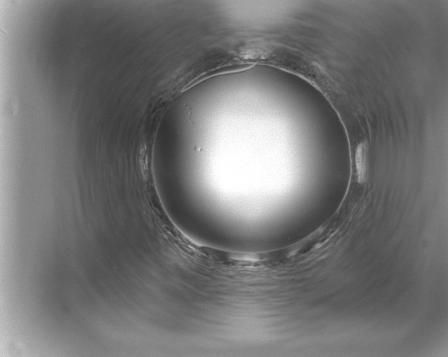 X0000071361443200607071738
