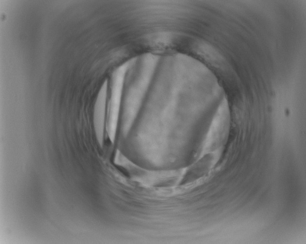 X0000071360037200607142031